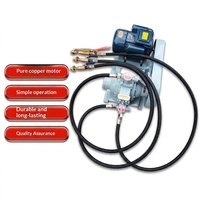 Pompe de transfert de gaz GPL ; Pompe de remplissage 220V/48V/12V portable pour voiture, mini pompe à air avec télécommande, moteur en cuivre pur, acier inoxydable