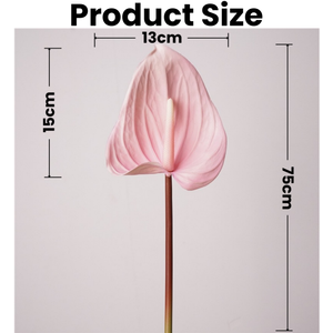 ดอกหน้าวัวสีขาว <span class=keywords><strong>andraeanum</strong></span> พืชดอกไม้สัมผัสจริงดอกไม้ประดิษฐ์กลางสำหรับตกแต่งตารางงานแต่งงาน - Product Image 2