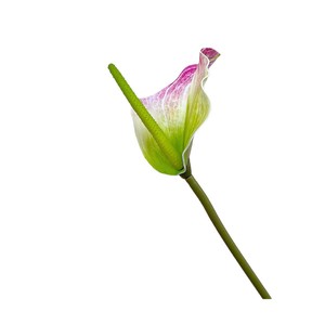 Flor Artificial de Lirio de Agua Lumina, Color Rosa Blanco, Decoración de Interiores, Decoración para Bodas y Hogar, Material de PVC - Product Image 5