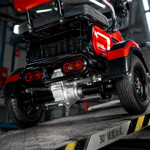 Tricycle électrique pliable 3 places, scooter de mobilité 1000W, batterie lithium 48V 60V 72V, trike électrique familial avec panier de chargement - Product Image 4