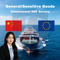 Tarif de transport maritime et aérien économique DDP, agent logistique de dédouanement, livraison porte-à-porte vers la Belgique, les Pays-Bas, la Pologne