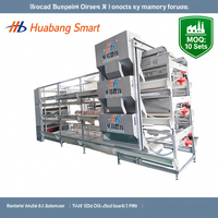 Cage à poulets automatique de type H en acier galvanisé à chaud, maille soudée, équipement d'élevage avicole commercial à grande échelle