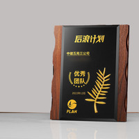 Personnalisation de médailles de récompense, Certificat d'autorisation en cristal, Plaque de récompense professionnelle vierge en bois, Impression UV étanche, Sport