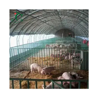 Serres à tunnel professionnelles en Chine avec squelette de tuyau rond pour l'agriculture/pêche/volaille/cochon/vache/mouton/élevage de poulet
