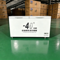 Congélateur horizontal commercial à bas prix avec porte supérieure, équipement de réfrigération