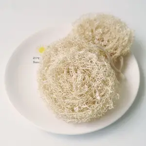 wholesale Eco Friendly natural Custom Compostable Dish Cleaning wash the pot Kitchen Loofah Sponge