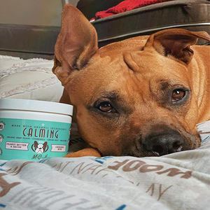 OEM/ODM Friandises naturelles pour chiens, suppléments pour animaux de compagnie, saveur dinde, apaisants, pour l'anxiété, le stress et les aboiements, suppléments de soins de santé pour animaux de compagnie - Product Image 2