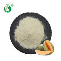 Poudre de jus de melon cantaloup naturel de qualité alimentaire Pincredit, prix de gros