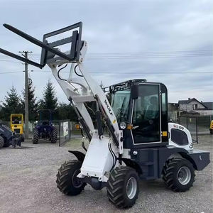 China Hersteller 1 Tonne Lader Mini Shall Front Gelenks chaufel lader mit Gabeln - Product Image 3