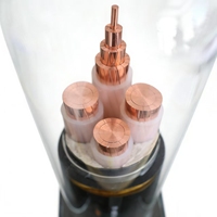 Cable de Alimentación Industrial y para Estaciones de Energía, 4 Núcleos de 240 mm + 1 Núcleo de 120 mm, ZC-YJV, Núcleo de Cobre, Aislamiento XLPE, 0.6kV
