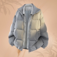 Veste d'hiver en duvet pour homme, veste légère décontractée à col montant, imperméable, coupe-vent, ample et chaude