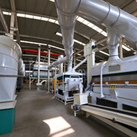 Ligne de traitement automatique de tri et de calibrage des grains de café industriels 10T/H