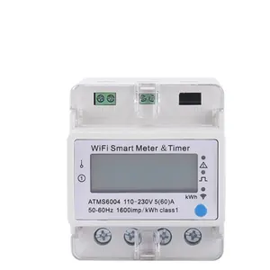 Rs485 Modul OEM/ODM Smart 2P Energie zähler WIFI Din Rail Energie zähler Prepaid Stromzähler