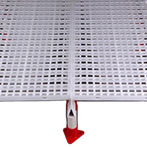 Sistemas de cría de suelo de pollos de engorde, equipo de cría de aves de corral con líneas de alimentación de sartén en Bangladesh - Product Image 4