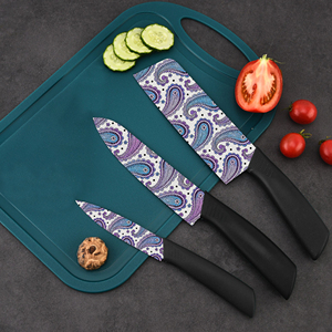 Ensemble de couteaux utilitaires de qualité supérieure en gros, lames en céramique plastique - Présentation de luxe pour cadeaux de mariage, événements spéciaux, livraison gratuite - Product Image 2