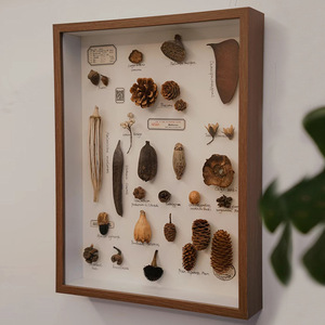 Cadres de boîte à souvenirs en gros, cadre photo carré en bois fait à la main avec un espace vide pour les fleurs séchées et la collection de coquillages - Product Image 1