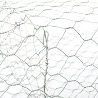Fournisseur de gabions hexagonaux renforcés de haute qualité, prix imbattable, taille personnalisée, 50x50, boîte galvanisée