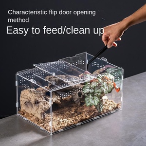 Terrario de Acrílico de Alta Calidad para Reptiles, Caja de Incubación para Ranas, Arañas, Insectos y Reptiles, Accesorios, Exhibidores - Product Image 2