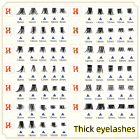 Kit d'extension de cils DIY en grappes, cils individuels effet naturel, 8-16mm, marque privée, vison, OEM/ODM