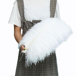 45-50 Cm Plumes d'autruche blanches teintées en blanc pour décoration de fête décorations de mariage - Product Image 4