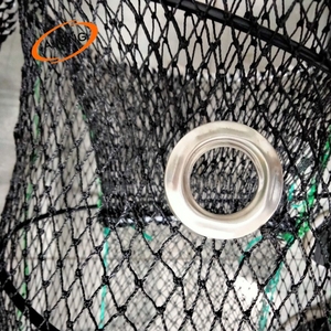 กับดักเหยื่อ<span class=keywords><strong>ตก</strong></span><span class=keywords><strong>ปลา</strong></span>แบบพับได้ <span class=keywords><strong>เสริม</strong></span>ความแข็งแรงด้วยเส้นคู่ แบบยืดหดได้ สำหรับดักกุ้ง ปู ล็อบสเตอร์ - Product Image 6