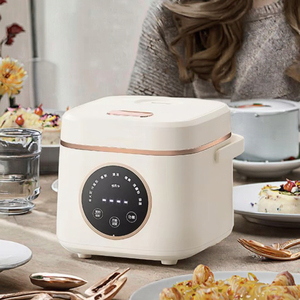 Xách tay đa chức năng 1.6L 2.0L <span class=keywords><strong>3.0L</strong></span> Nồi cơm điện cài sẵn chức năng cho thực phẩm Hà Lan đo cup hộ gia đình - Product Image 4