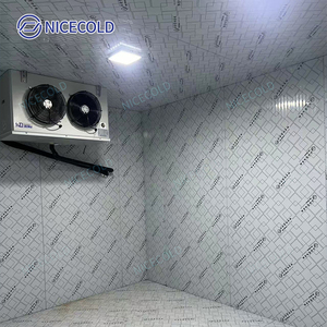 Tùy Chỉnh 8X10 Đi Bộ Trong Mát Tủ Đông Hộp Lạnh Phòng Lạnh Lưu Trữ Với Làm Lạnh Đơn Vị Cho Hải Sản Trái Cây Chín - Product Image 1