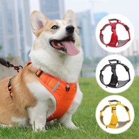 Harnais de randonnée pour chien en polyester, anti-explosion et résistant aux chocs, ajustable avec fermeture personnalisée