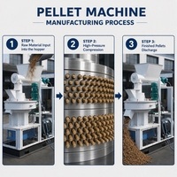 Machine à granulés de biomasse TOPS, moteur 75KW, haut rendement 800-1000kg/h pour la granulation de copeaux de bois/paille/pellets de coques de riz