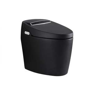 Inodoro Inteligente Eléctrico Negro de Nuevo Estilo, Inodoro con Bidé, Inodoro de Cerámica Automático Inteligente - Product Image 2