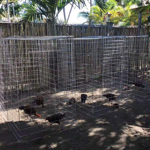 Poulaillers pliants économiques en métal 70x70, <span class=keywords><strong>cages</strong></span> portables 1x1 pour combats de poulets, pour les pigeonneurs et les oiseaux volatiles - Product Image 2