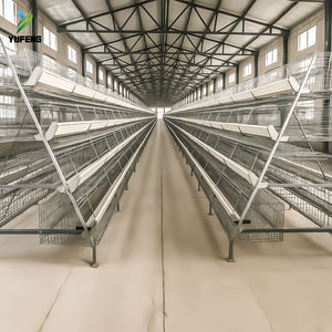 Jaulas <span class=keywords><strong>de</strong></span> batería automáticas <span class=keywords><strong>de</strong></span> tipo gallinero <span class=keywords><strong>de</strong></span> gran venta para gallinas <span class=keywords><strong>de</strong></span> <span class=keywords><strong>Guinea</strong></span> |   Capacidad para 90-160 Pollos |   Cría <span class=keywords><strong>de</strong></span> gallinas ponedoras - Product Image 6