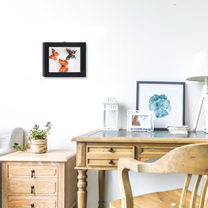 Bán buôn tùy chỉnh kích thước khung ảnh 4x6 6x8 8x10 A4 sáng tạo <span class=keywords><strong>DIY</strong></span> Hoa Khô 3D gỗ bóng hộp khung - Product Image 6