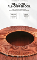 Transformador Toroidal de 50VA-5000VA, Cobre Puro, 220V a 12V 24V 48V, Transformador de Aislamiento para Amplificador de Audio y Motor Paso a Paso