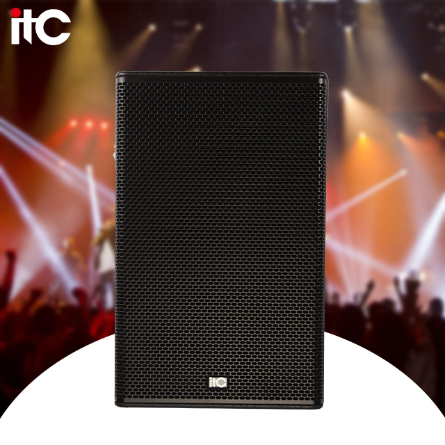 Dj 15-Inch Professional Neodymium Bass Speaker with Wooden Cabinet and 300W Output for Conference Rooms & Banquet Halls
