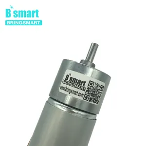 Bringsmart BSB37-550 12v Dc Motor High Torque Mini Gear Motor DC Gear Motor High Torque High Power For Smart Balance Car