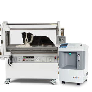 Concentrador de Oxígeno Portátil Longfian de 10L para Animales Pequeños, Bajo Ruido, Alto Flujo, Suministro Continuo, Uso Veterinario y Doméstico - Product Image 5