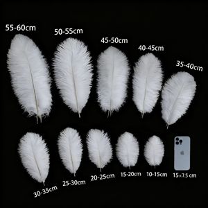 Plumes d'autruche D475 15-80 cm Afrique du Sud pour banquets, arches de mariage DIY, décorations d'allée, accessoires de table, spectacles ; Disponible - Product Image 2