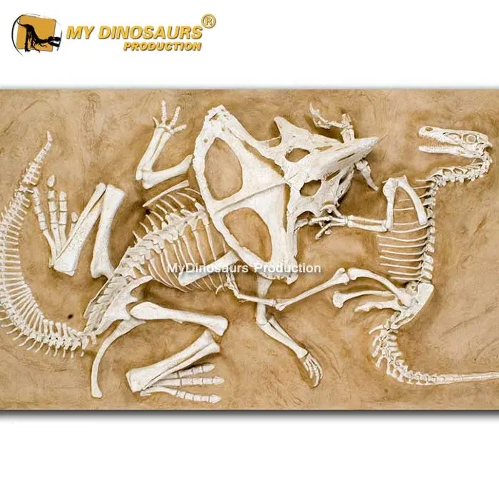 Mijn Dino DS078 Fossiele Opgraving Site Dinosaurus Fossiel Bone Begraven Scène