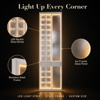 Cloison décorative de luxe en acier inoxydable avec briques de verre lumineuses à LED pour hôtel et salon