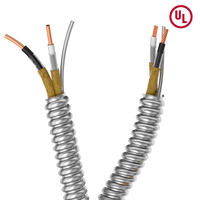 Venta al por mayor 14/2 14/3 12/3 12/2 600V Cable de construcción canadiense Ac90 Cul listado Acero sólido blindado Bx Cable Ac90 12/2 Cable para CA