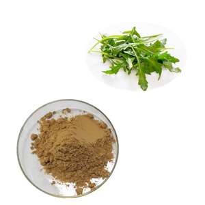 โรงงานสกัดสารจากพืช จัดจำหน่ายผงสารสกัดใบอารูกูล่าออร์แกนิก (Eruca Sativa) คุณภาพสูง ในราคาที่ดีที่สุด - Product Image 3