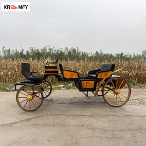 Calèche de mariage de luxe à chevaux avec éclairage LED pour extérieur et Noël, idéale pour les excursions - Product Image 4