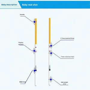 Tiras Reactivas de Diagnóstico de Ovulación QD Clase I, 1 Caja de 10 Tiras, Hormona Lutinizante (HLH) con Garantía de por Vida - Product Image 2
