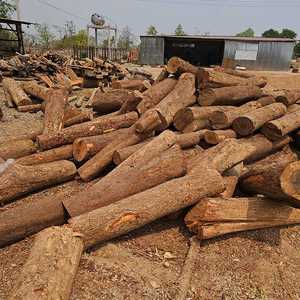 Palo de aserrín de bambú de eucalipto hecho en fábrica de Greenlife Asia carbón blanco de primera calidad Vietnam precio competitivo - Product Image 5