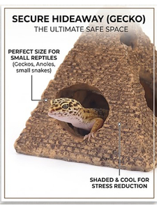 Caja de mascotas de hábitat en forma de pirámide para Monitor, lagarto, ojo manchado, Gecko, serpiente, Rana con cuernos, suministros para reptiles y anfibios - Product Image 3