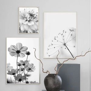 Affiches à fleurs imprimées en <span class=keywords><strong>noir</strong></span> <span class=keywords><strong>et</strong></span> <span class=keywords><strong>blanc</strong></span>, Art mural, plume, pissenlit, photos, peinture sur toile - Product Image 3