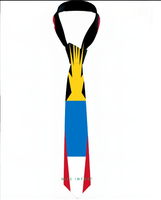 Cravate patriotique drapeau des Tonga, cravate quotidienne pour le collège, cravate de costume pour fête formelle, un cadeau idéal pour papa, grand-père ou mari