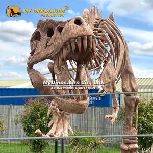 MY DINO Mini <span class=keywords><strong>Golf</strong></span> Modè<span class=keywords><strong>le</strong></span> de squelette de dinosaure T-rex grandeur nature - Product Image 1