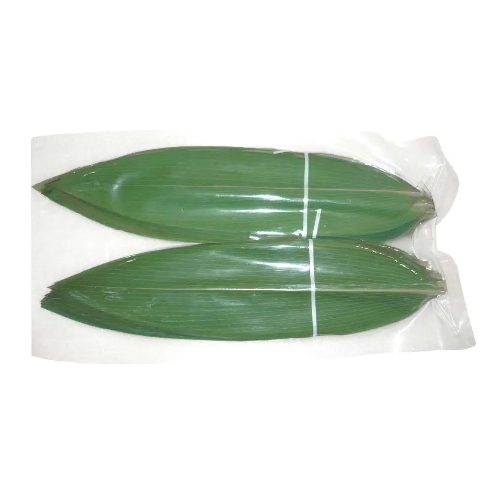 فراغة من أوراق الخيزران باللون الأخضر الطبيعي مناسبة للف السوشي أو اختيارات ساشيمي